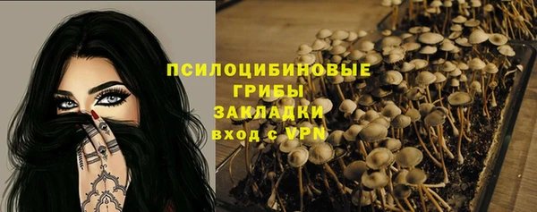 не бодяженный Богородицк