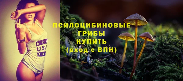 не бодяженный Богородицк