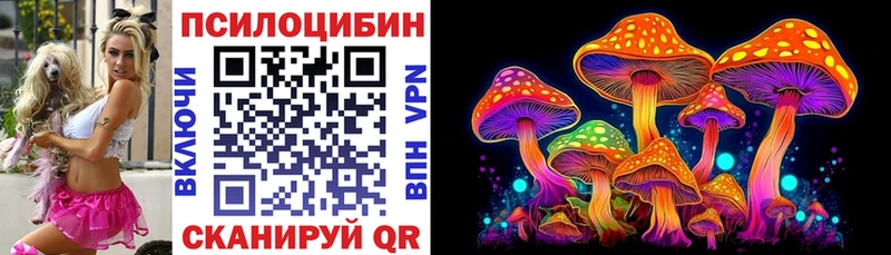 Псилоцибиновые грибы MAGIC MUSHROOMS  Котово 